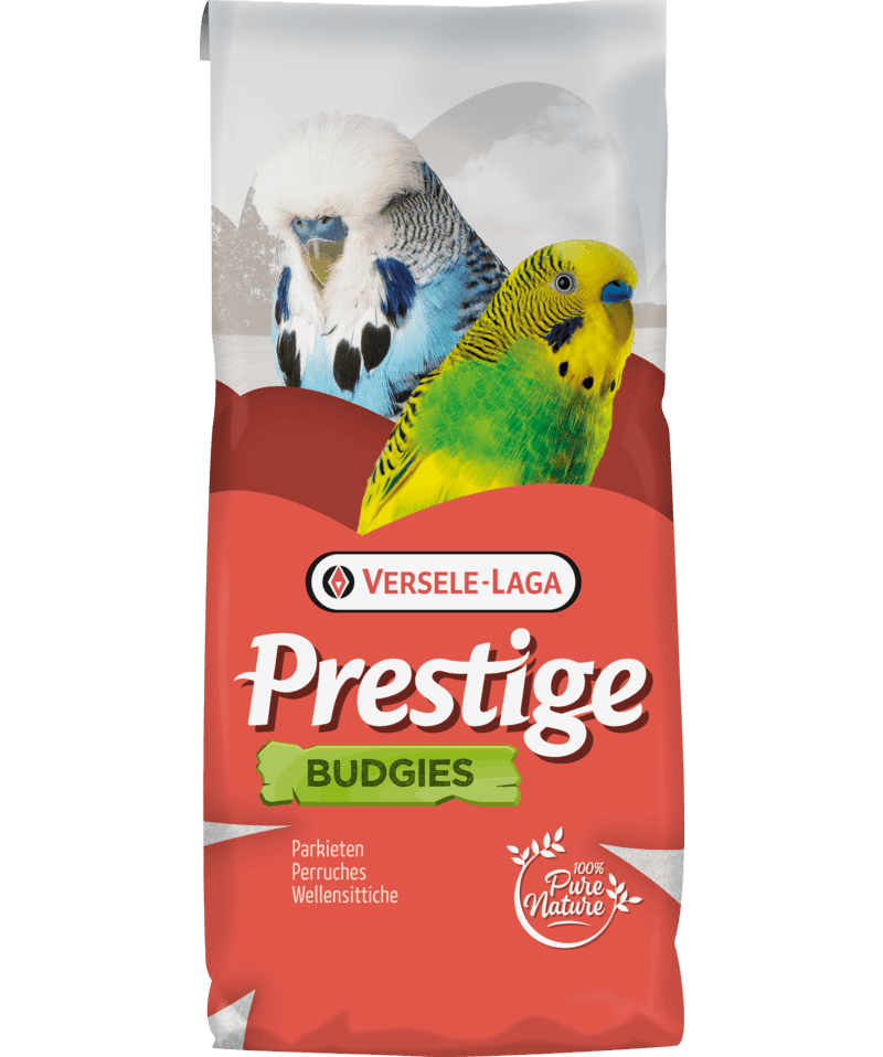 Versele Laga Budgie Jo Mannes Euro-Champ Prestige | Luxury Home Accessories | Heulog Glow
