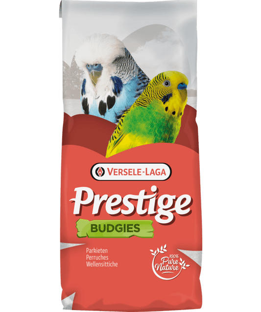 Versele Laga Budgie Jo Mannes Euro-Champ Prestige | Luxury Home Accessories | Heulog Glow