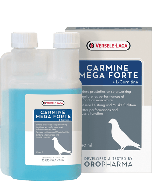 Versele Laga Carmine Mega Forte | Luxury Home Accessories | Heulog Glow