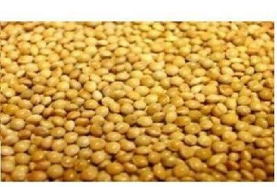 Versele Laga French Yellow Millet | Luxury Home Accessories | Heulog Glow