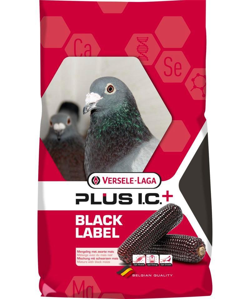 Versele Laga Junior Plus I.C. Black Label | Luxury Home Accessories | Heulog Glow