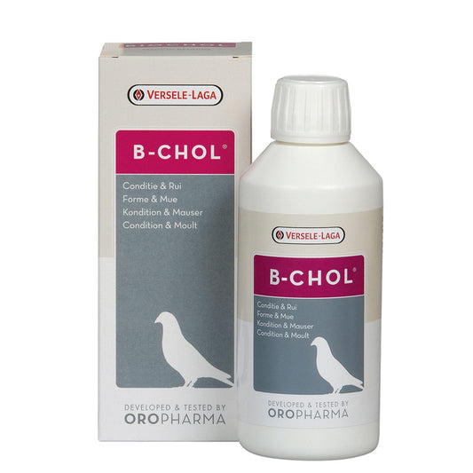 Versele Laga Oropharma B-Chol 500ml | Luxury Home Accessories | Heulog Glow