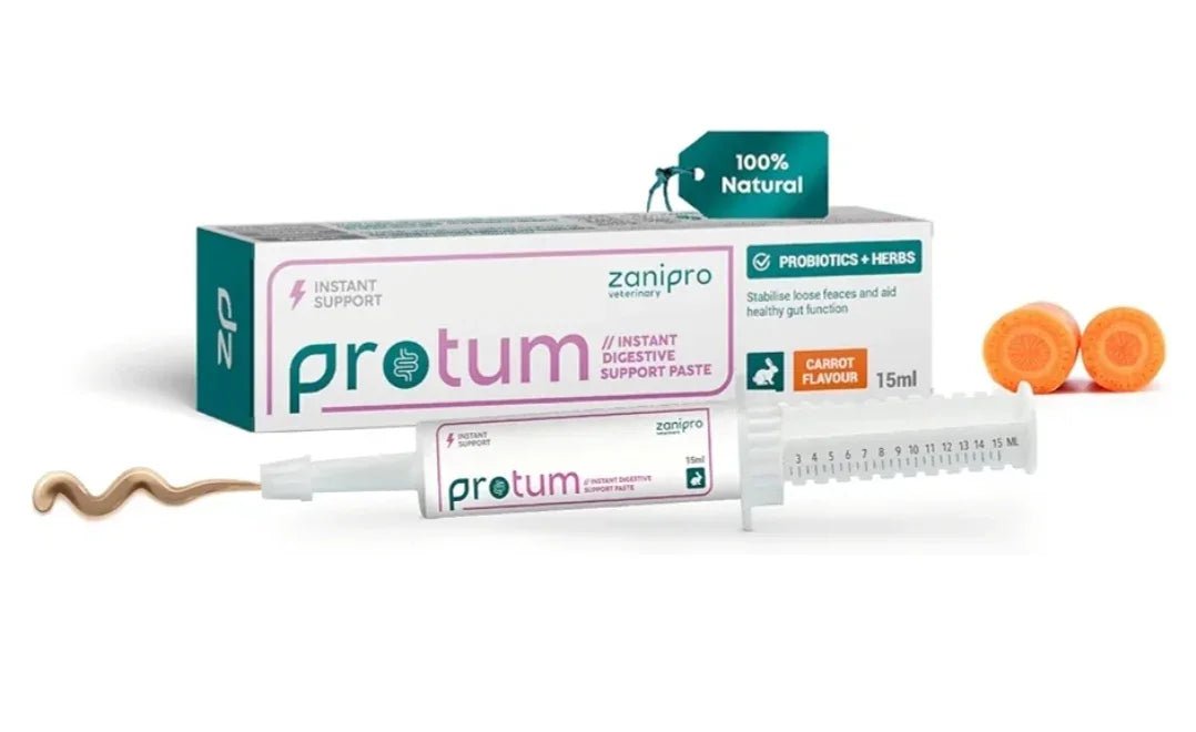 Veterinary Rabbit Probiotic Paste 15ml - Guinea Pig & Small Animals Carrot Flavour, Supports Gut Health, Promotes Digestive Balance, Precise Dosage Syringe - Easy to Use Critical Care Recovery | Luxury Home Accessories | Heulog Glow