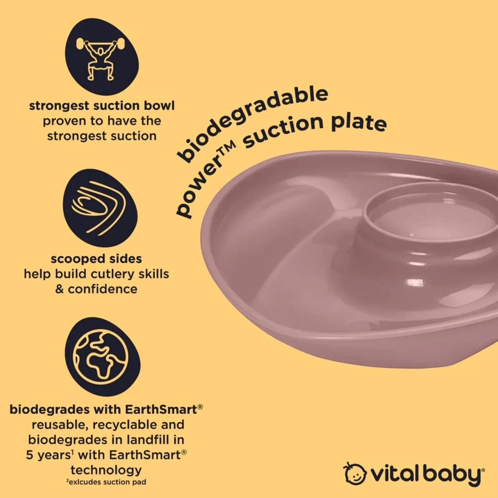 Vital Baby Nourish Power Suction Plate - Natural Berry | Luxury Home Accessories | Heulog Glow