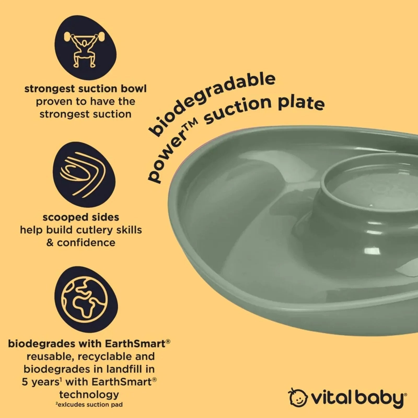 Vital Baby Nourish Power Suction Plate - Natural Moss | Luxury Home Accessories | Heulog Glow
