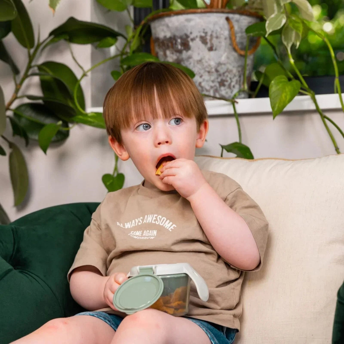 Vital Baby Nourish Snack On the Go - Natural Berry | Luxury Home Accessories | Heulog Glow