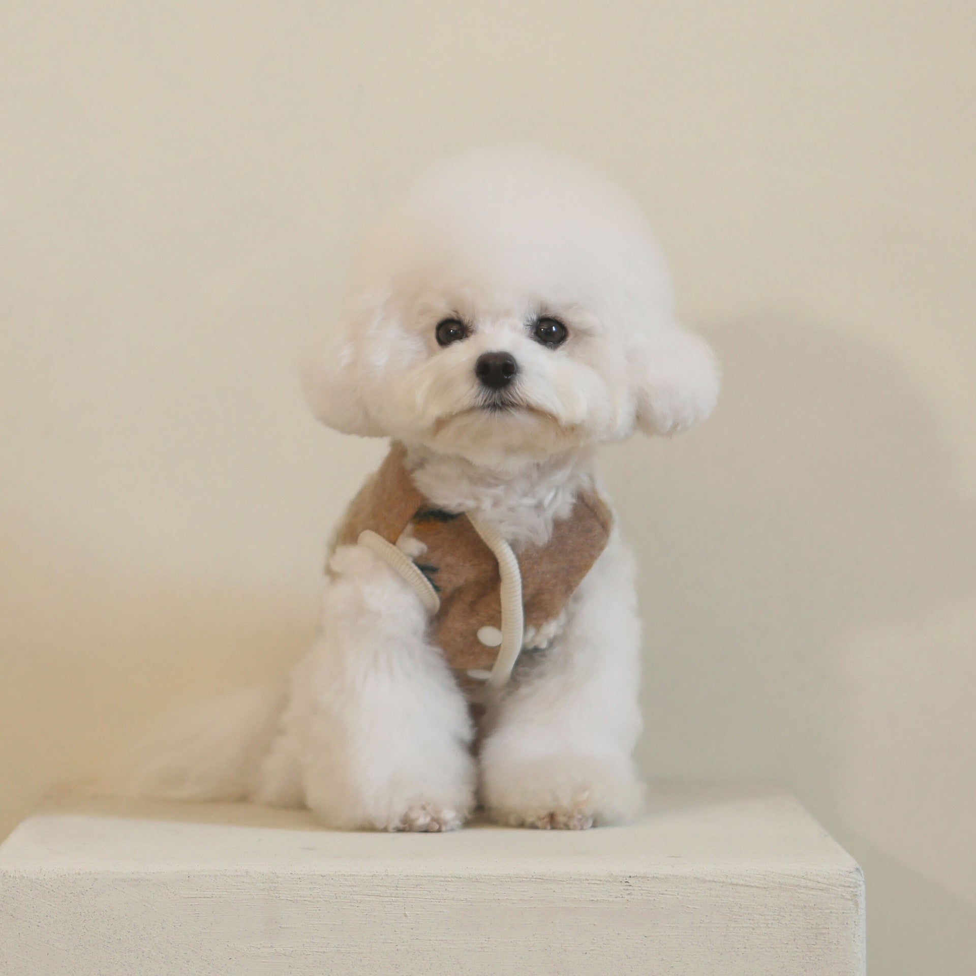 Warm Lamb Woolen Flower Vest Jacket Dog Sweater Warm Pet Clothes | Luxury Home Accessories | Heulog Glow