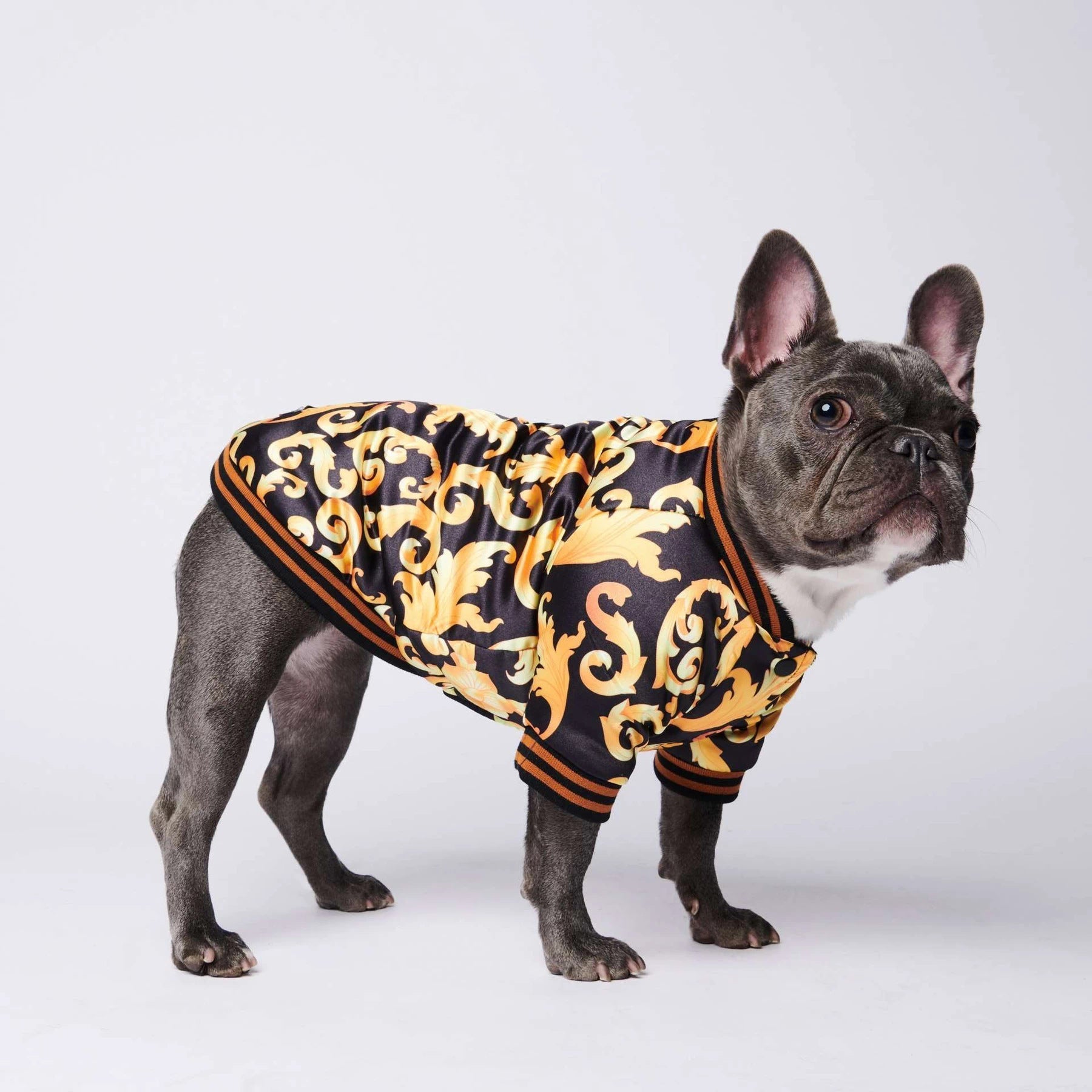 Warm plus cotton tide brand dog coat | Luxury Home Accessories | Heulog Glow