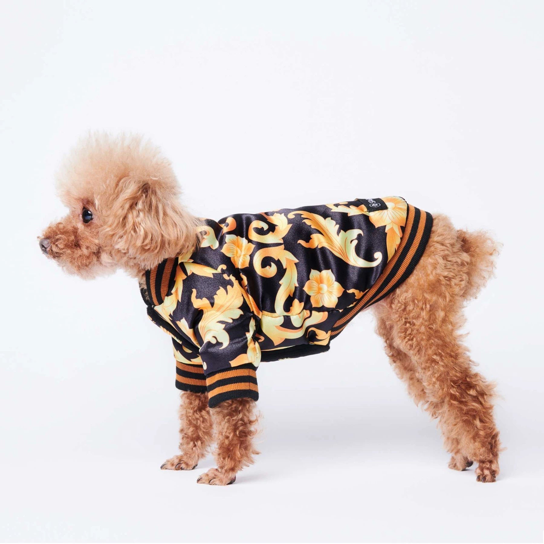 Warm plus cotton tide brand dog coat | Luxury Home Accessories | Heulog Glow