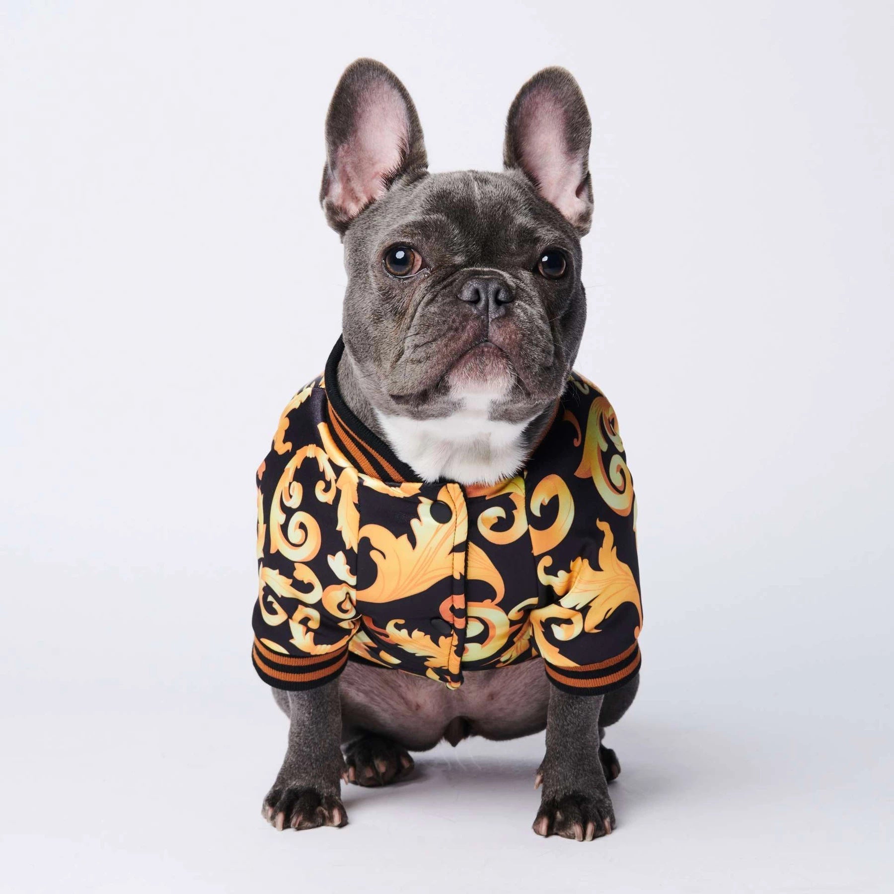 Warm plus cotton tide brand dog coat | Luxury Home Accessories | Heulog Glow