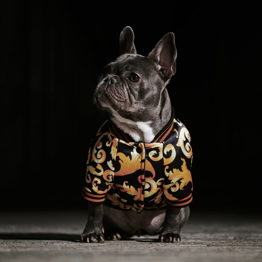 Warm plus cotton tide brand dog coat | Luxury Home Accessories | Heulog Glow