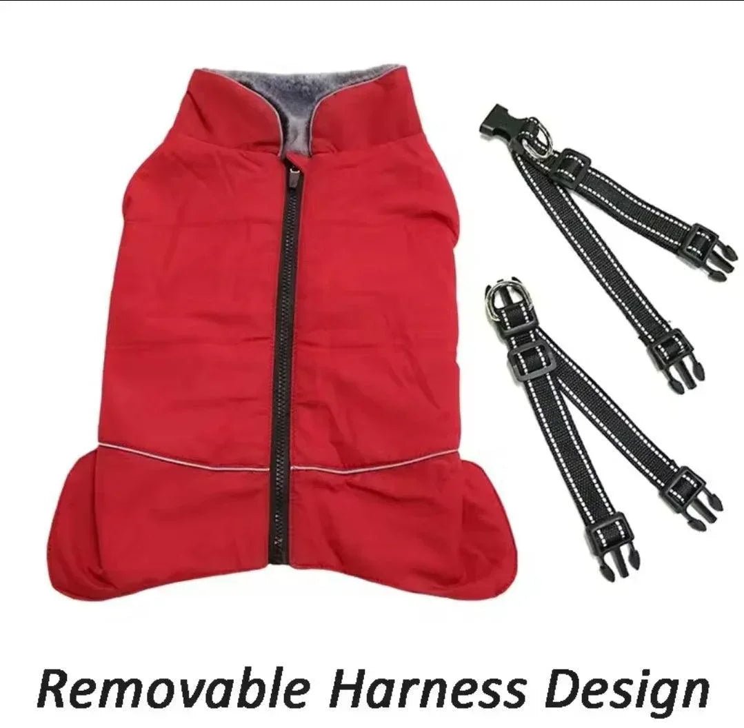 Waterproof Harness Coat | Luxury Home Accessories | Heulog Glow