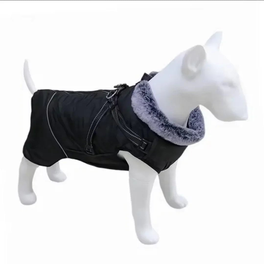 Waterproof Harness Coat | Luxury Home Accessories | Heulog Glow