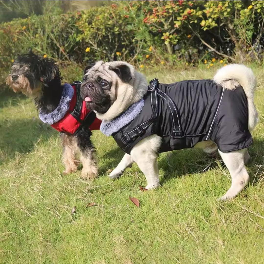 Waterproof Harness Coat | Luxury Home Accessories | Heulog Glow