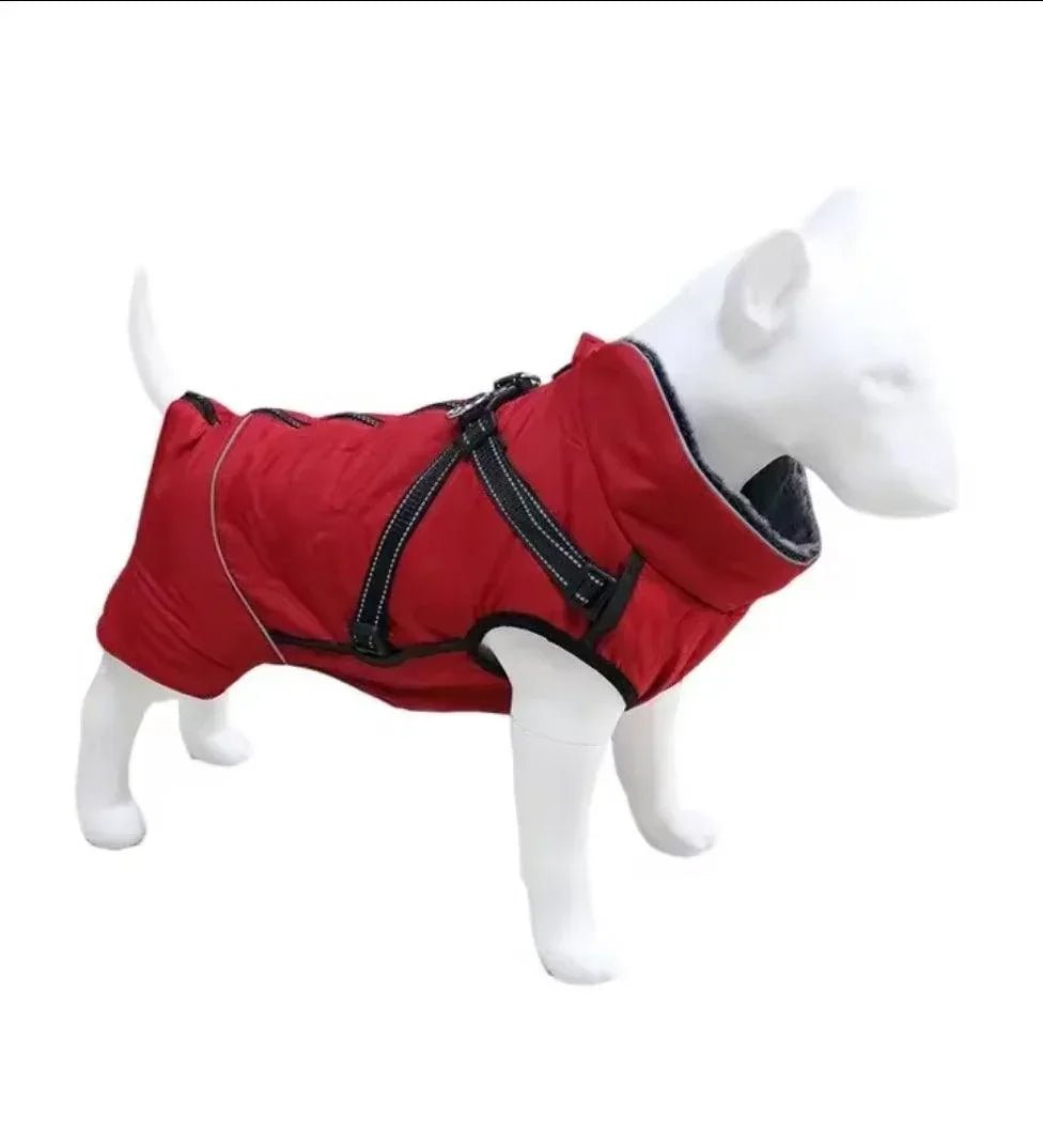 Waterproof Harness Coat | Luxury Home Accessories | Heulog Glow