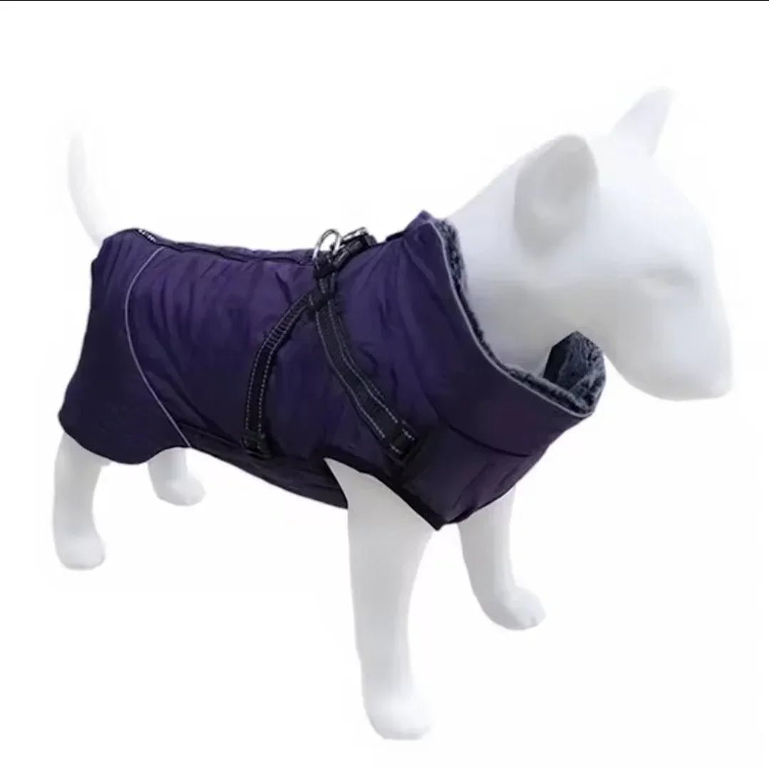 Waterproof Harness Coat | Luxury Home Accessories | Heulog Glow