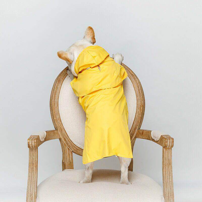 Waterproof pet raincoat | Luxury Home Accessories | Heulog Glow