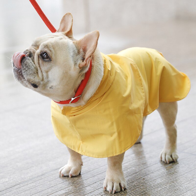 Waterproof pet raincoat | Luxury Home Accessories | Heulog Glow