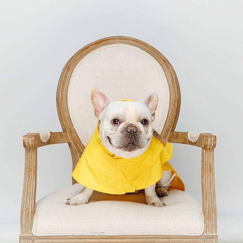 Waterproof pet raincoat | Luxury Home Accessories | Heulog Glow