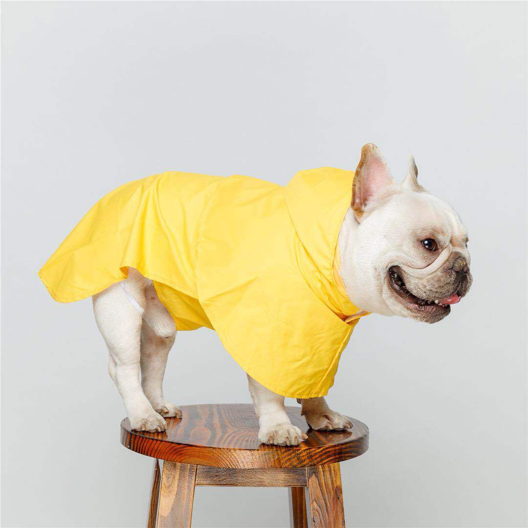 Waterproof pet raincoat | Luxury Home Accessories | Heulog Glow
