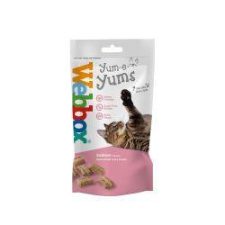 Webbox Cat Yum-e-yums Salmon | Luxury Home Accessories | Heulog Glow