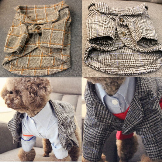 Wedding photo pet clothes | Luxury Home Accessories | Heulog Glow