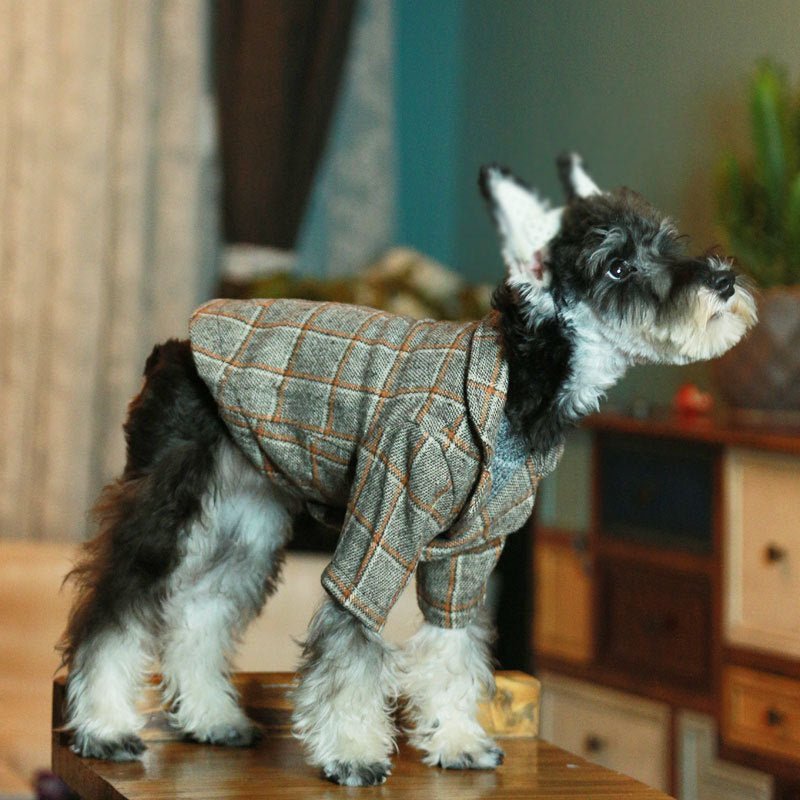 Wedding photo pet clothes | Luxury Home Accessories | Heulog Glow