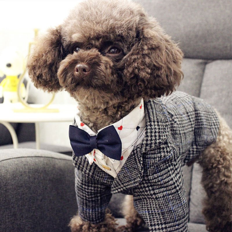 Wedding photo pet clothes | Luxury Home Accessories | Heulog Glow