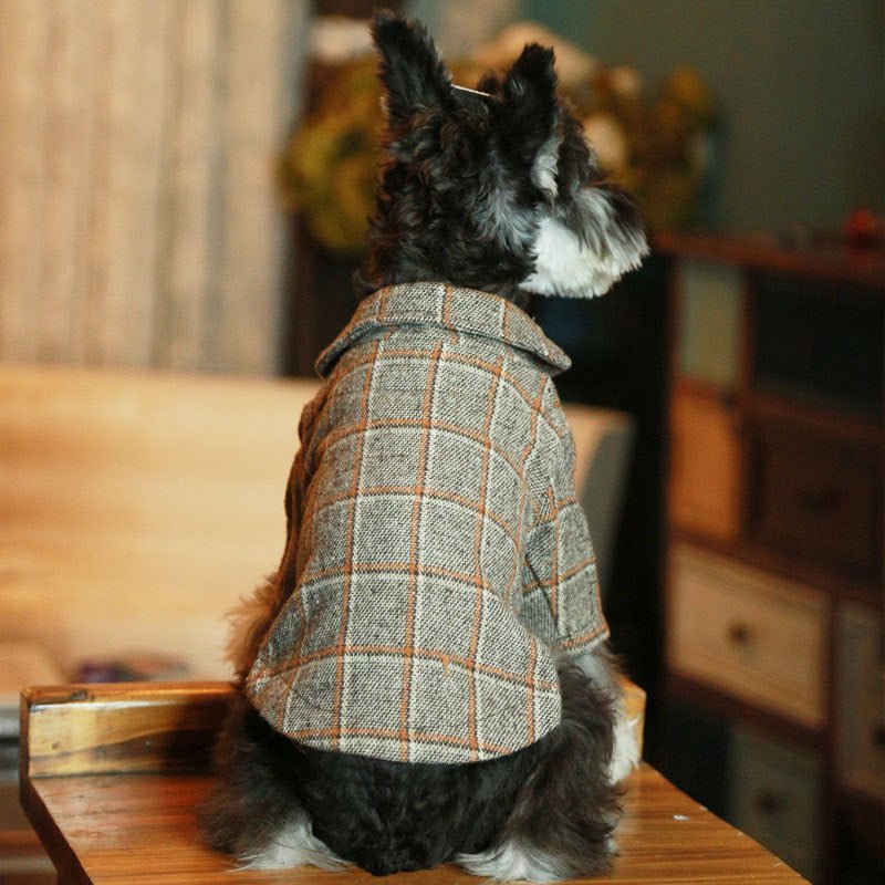 Wedding photo pet clothes | Luxury Home Accessories | Heulog Glow