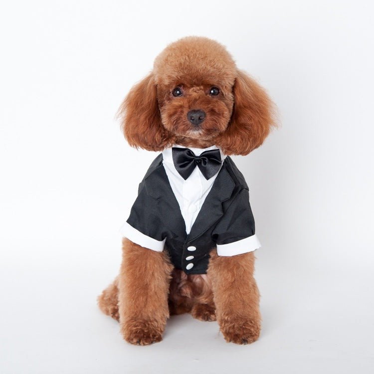 Wedding Suit pet clothes | Luxury Home Accessories | Heulog Glow