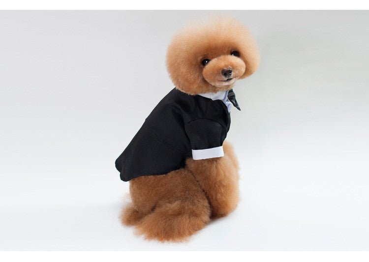 Wedding Suit pet clothes | Luxury Home Accessories | Heulog Glow