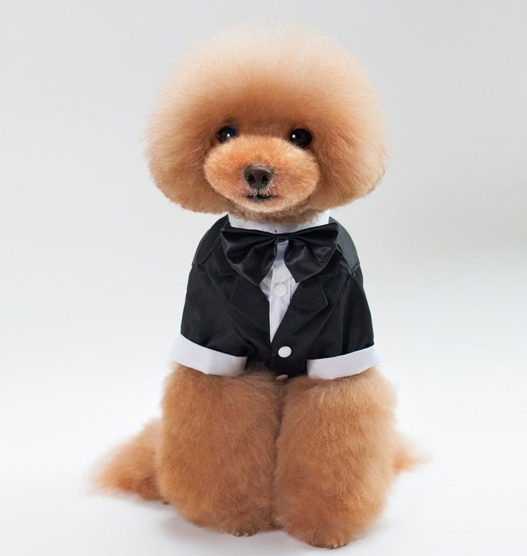 Wedding Suit pet clothes | Luxury Home Accessories | Heulog Glow