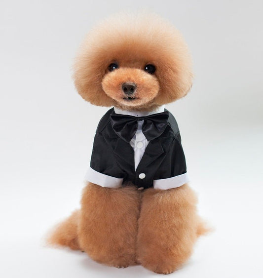 Wedding Suit pet clothes | Luxury Home Accessories | Heulog Glow
