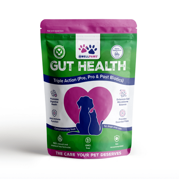 WellPaws Gut Health Triple Action Chewable 180g | Luxury Home Accessories | Heulog Glow