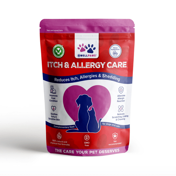WellPaws Itch & Allergy Care Chewable 180g | Luxury Home Accessories | Heulog Glow