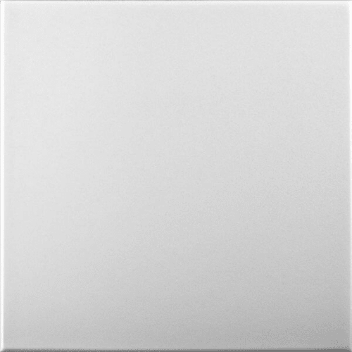 White Blank: Decorative Ceiling & Wall Panels - 2m2 (21.52 sqft) - 8 Panels