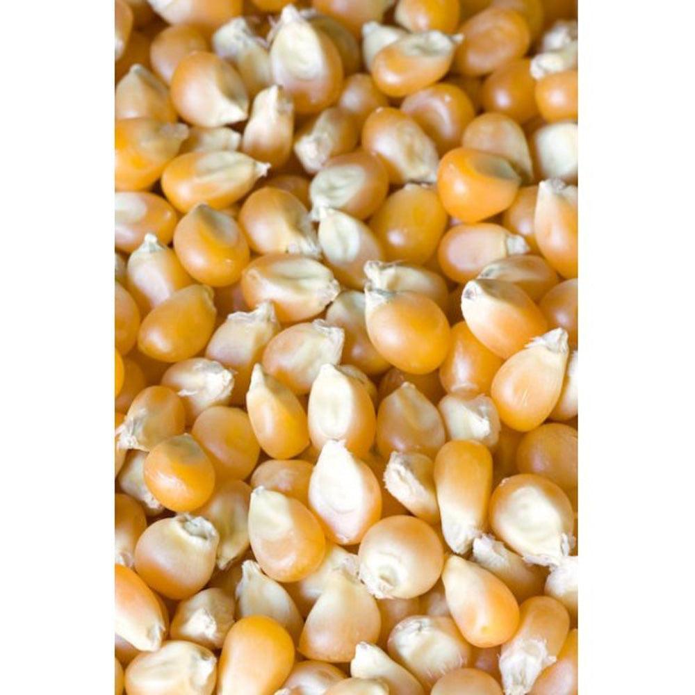 Whole Maize 25kg - Masham Micronized Feeds | Luxury Home Accessories | Heulog Glow