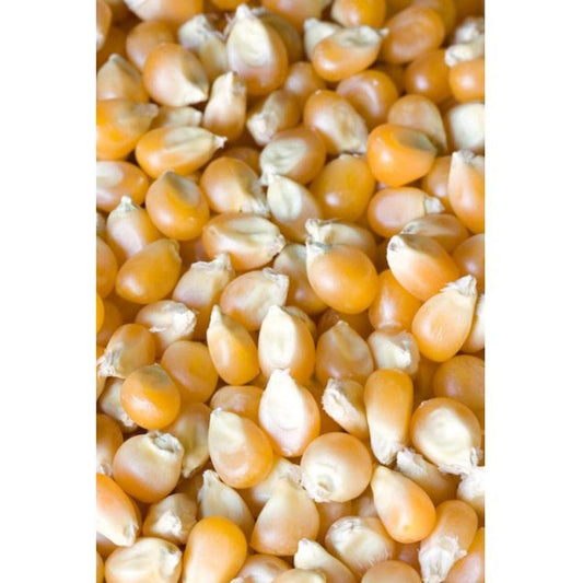 Whole Maize 25kg - Masham Micronized Feeds | Luxury Home Accessories | Heulog Glow