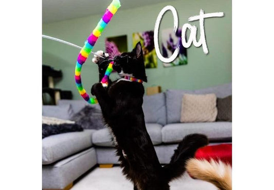 WIGGLE WORM CAT DANGLER RAINBOW | Luxury Home Accessories | Heulog Glow