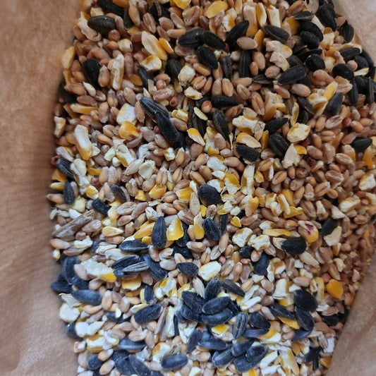Wild Bird Food Mix - 1kg | Luxury Home Accessories | Heulog Glow