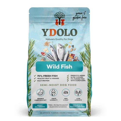 Wild Fish Complete Dog Food - Healthy and Pure (2.5kg) | Luxury Home Accessories | Heulog Glow