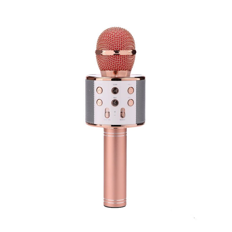 Wireless Microphone Portable Bluetooth Mini Home Ktv For Music Playing Singing Speaker Player | Luxury Home Accessories | Heulog Glow