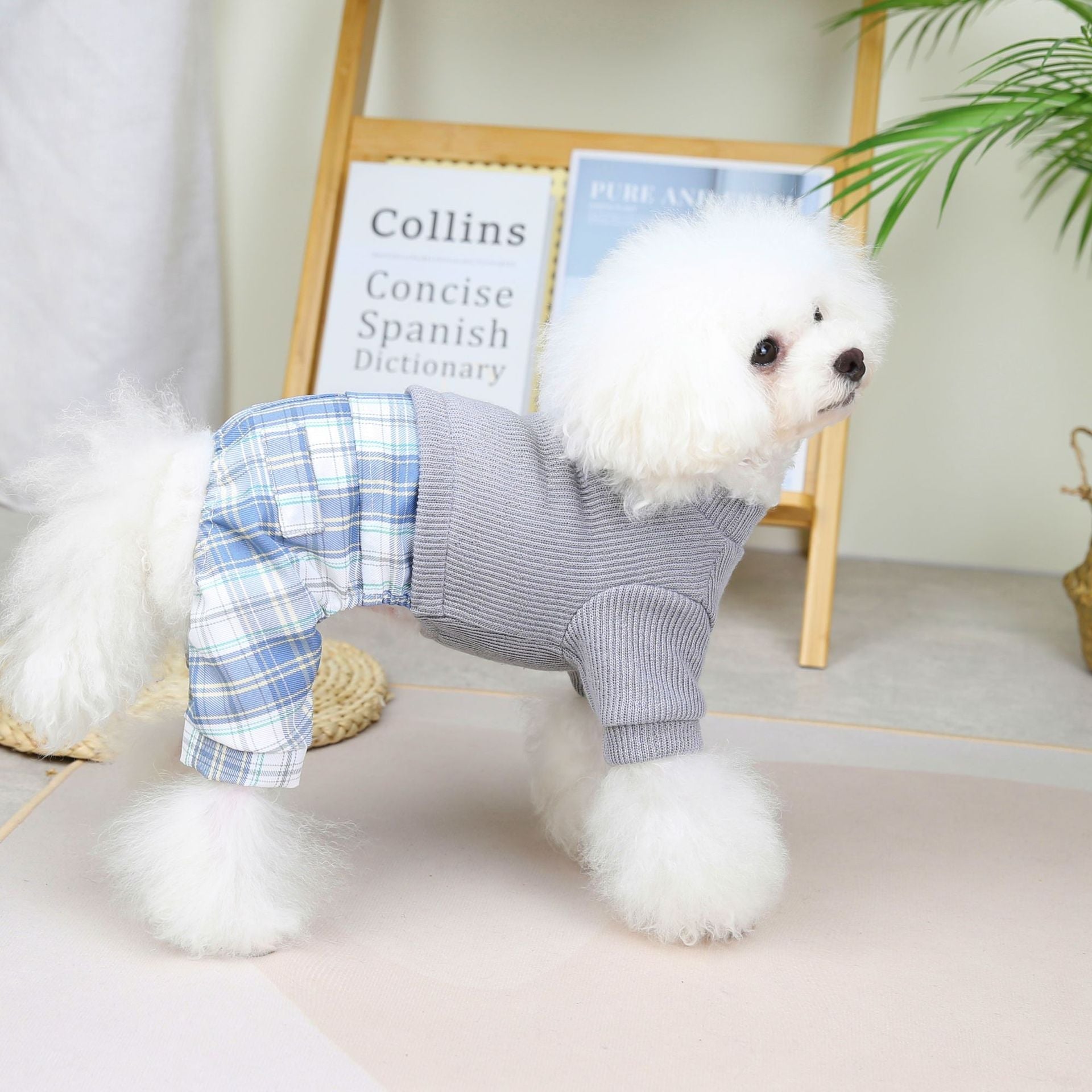 Wool Fabric Leisure Warm Sweatshirt Skirt Pants Suit Dog Clothes | Luxury Home Accessories | Heulog Glow