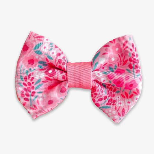 Wyld Cub - Dog Bow Tie: Notting Hill Rosé | Luxury Home Accessories | Heulog Glow