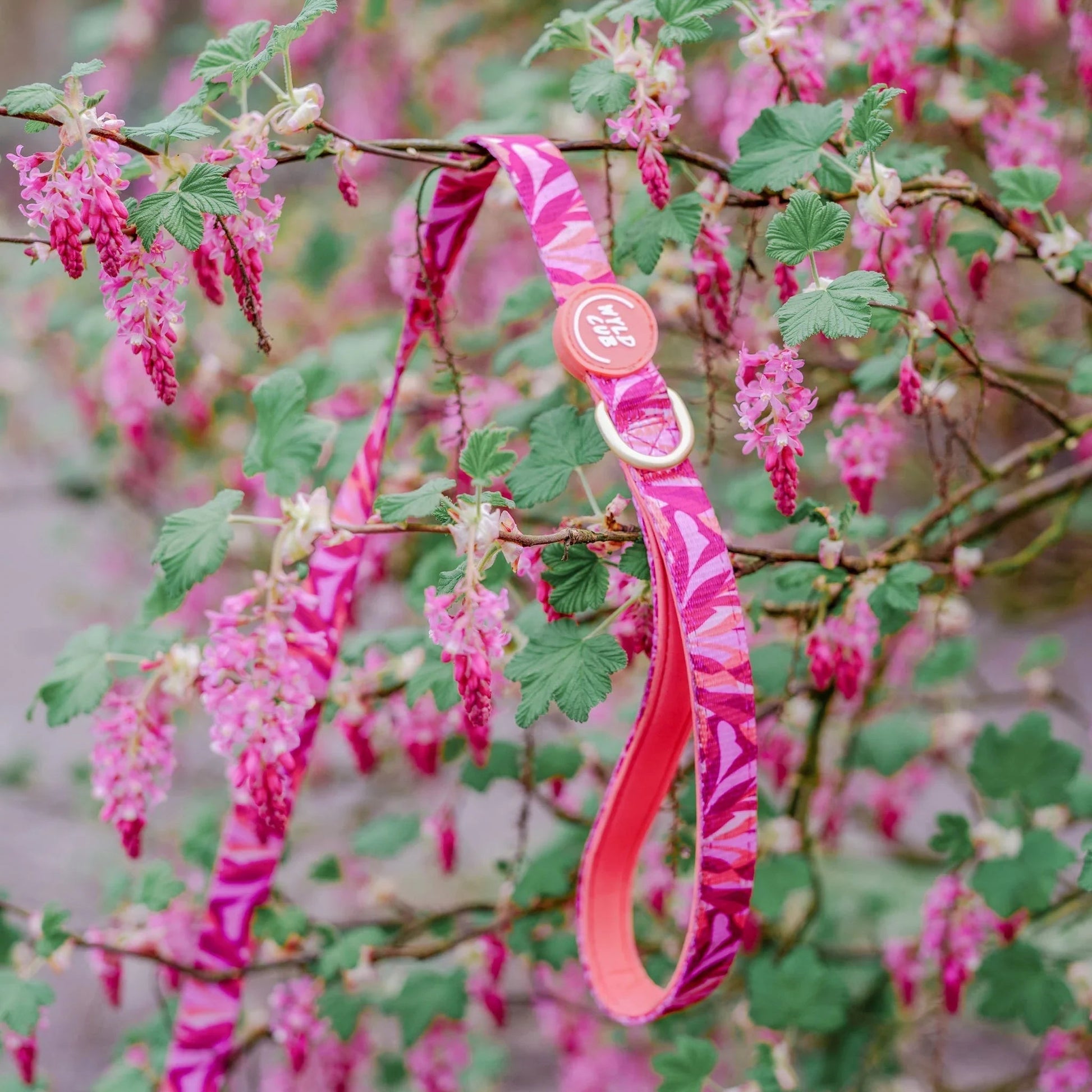 Wyld Cub - Dog Lead: Kew Honeysuckle | Luxury Home Accessories | Heulog Glow