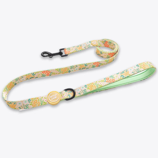 Wyld Cub - Dog Lead: Notting Hill Lemongrass | Luxury Home Accessories | Heulog Glow